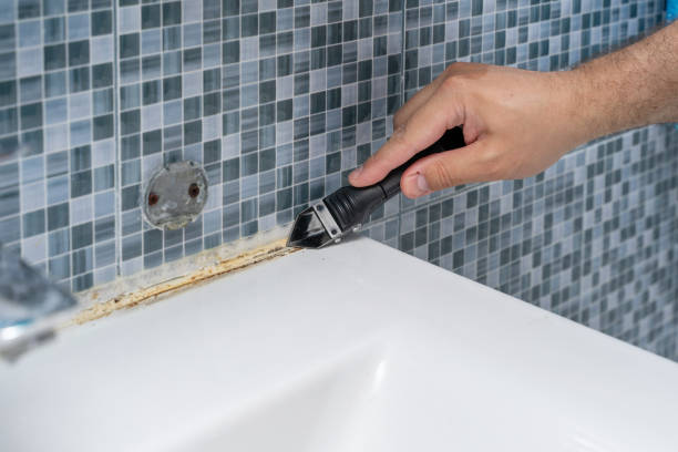 Best Fast Mold Removal  in Dalhart, TX
