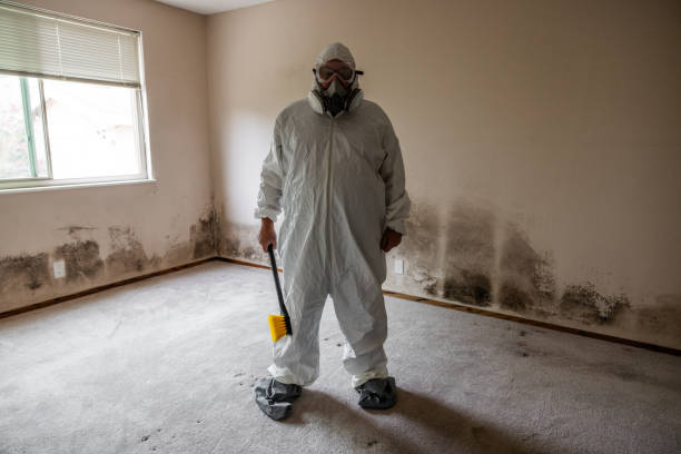 Best Crawl Space Mold Removal  in Dalhart, TX